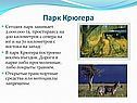 Парк Крюгера