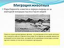 Миграция животных