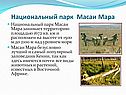 Национальный парк Масаи Мара