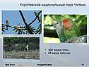 Парк Читван