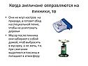 Англичане