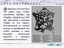 Сыр «Рокфор»