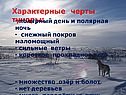 Характерные черты тундры