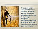 Это осень просто чудо, Всегда можно собирать красные, жёлтые, зелёные