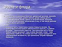 Фауна и флора