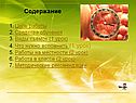 Содержание