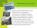 Арктическая пустыня