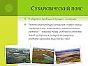 Субарктический пояс