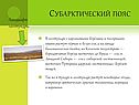 Субарктический пояс