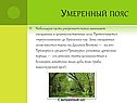 Умеренный пояс