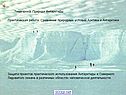 Природа Антарктиды