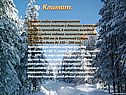 Климат