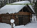 Лесопромысловое хозяйство