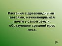 Растения с древовидными ветвями, начинающимися почти у самой земли