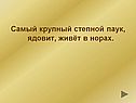 Самый крупный степной паук, ядовит, живёт в норах