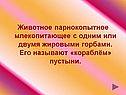 Парнокопытное млекопитающее