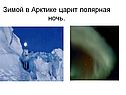 Зимой в Арктике царит полярная ночь