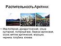 Растительность Арктики: