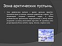 Зона арктических пустынь