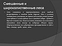 Смешанные и широколиственные леса