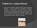 Саванны и редколесья