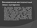 Вечнозеленые жестколистные леса и кустарники