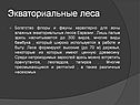 Экваториальные леса