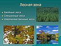 Лесная зона