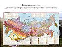 Типичные почвы: для тайги характерны подзолистые и мерзлотно-таёжные