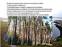Хозяйственная деятельность человека в тайге 1. Натуральное хозяйство