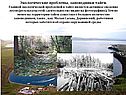 Экологические проблемы, заповедники тайги