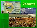 Саванна