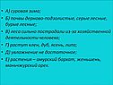 Суровая зима
