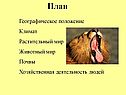 План