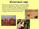 Животный мир