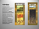 Бурые полупустынные почвы