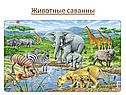 Животные саванны