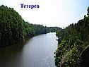Тетерев
