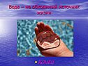 Вода – не обходимый источник жизни