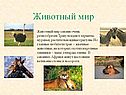 Животный мир