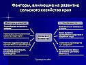 Факторы, влияющие на развитие сельского хозяйства края