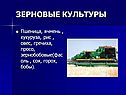 Зерновые культуры