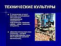 Технические культуры