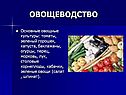 Овощеводство