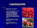 Садоводство