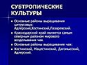 Субтропические культуры