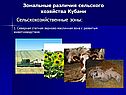 Зональные различия сельского хозяйства Кубани