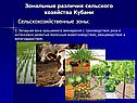 Зональные различия сельского хозяйства Кубани