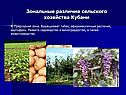 Зональные различия сельского хозяйства Кубани