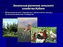 Зональные различия сельского хозяйства Кубани